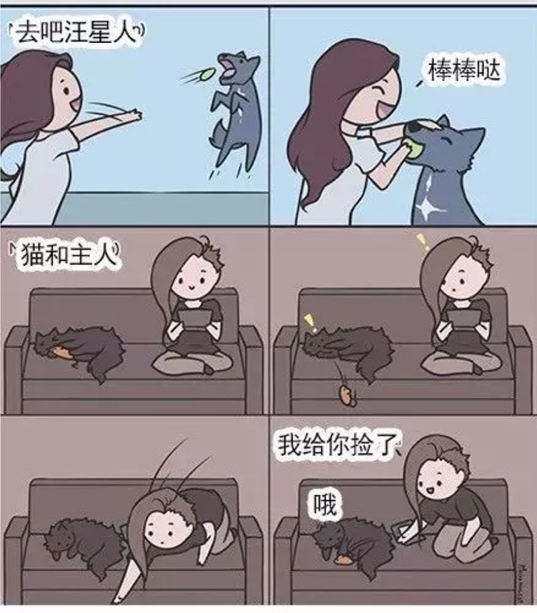 养猫vs养狗的一些区别，主人享受了不同的待遇