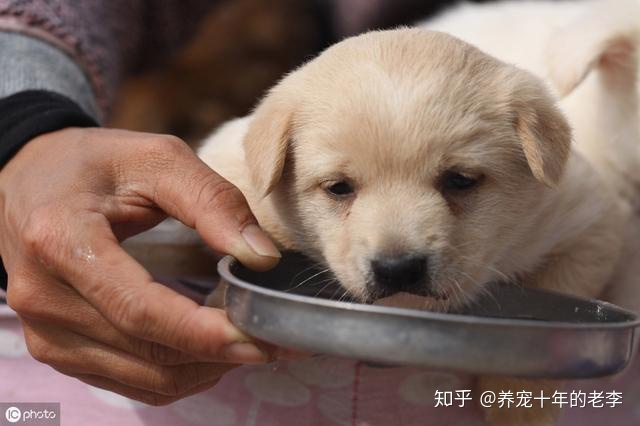 第一次人会的成功，只是用肉眼去判断的可能