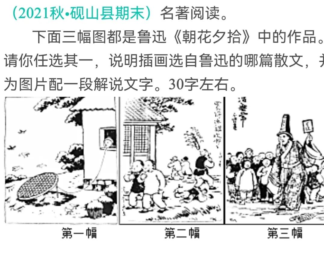 大语文时代：助力2022中考•《朝花夕拾》最新题型精选20道