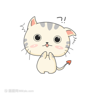 宠物猫购买前要注意