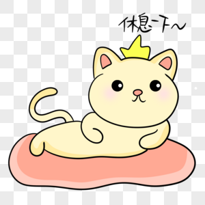 宁波缅因猫哪里有买