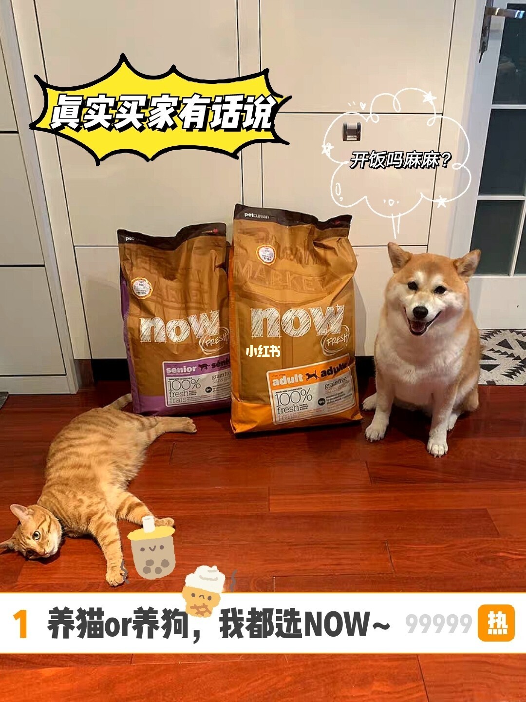 大型犬哪个好养不费钱_猫跟狗哪个比较好养_养猫费钱还是养狗费钱