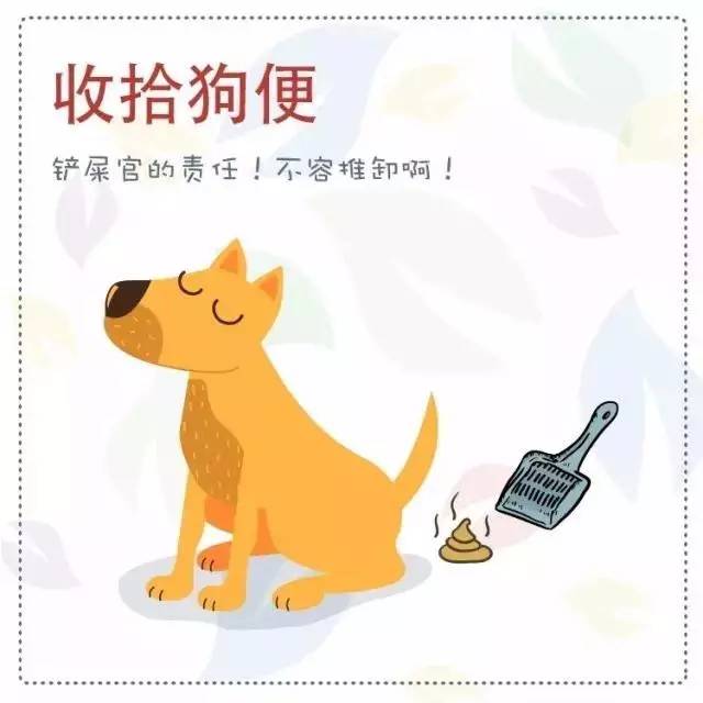 狗狗心事mp4下载_狗狗心事_电影狗狗心事