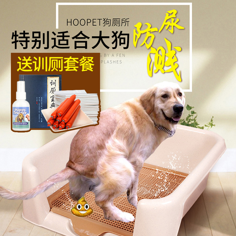 狗狗训练大小便要几天_训练狗狗大小便好难_狗狗送人后狗狗难过吗