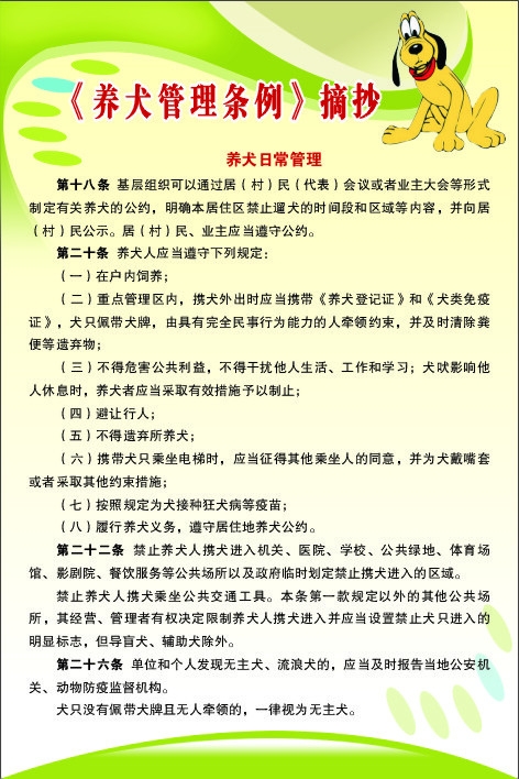 养什么狗最赚钱又好养_滨州新闻还让养狗吗_相狗秘诀什么狗养不得