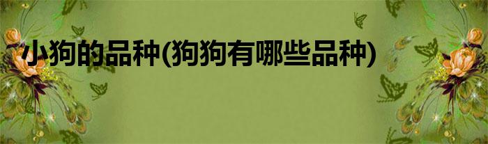 中国常见的本土狗，你知道几个？(组图)