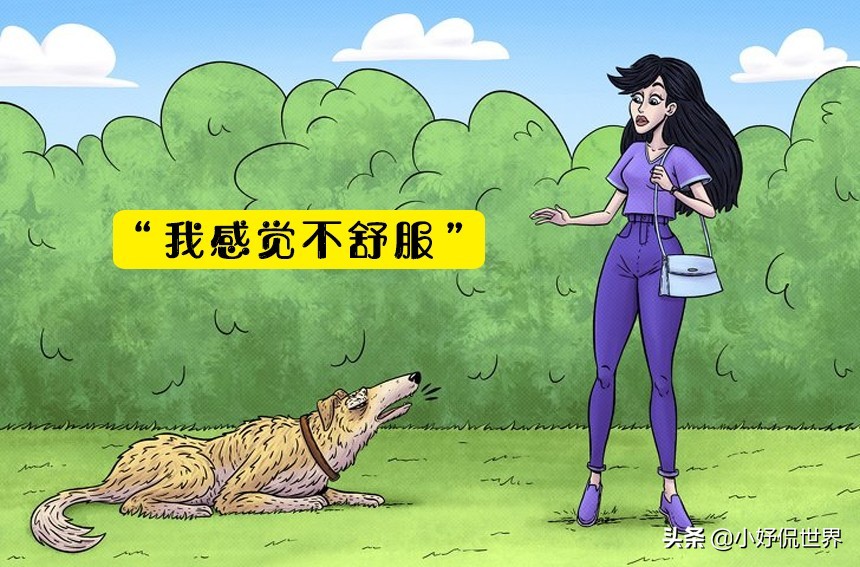 家中狗狗吠叫的5种解读，以及如何避免这种情况的出现