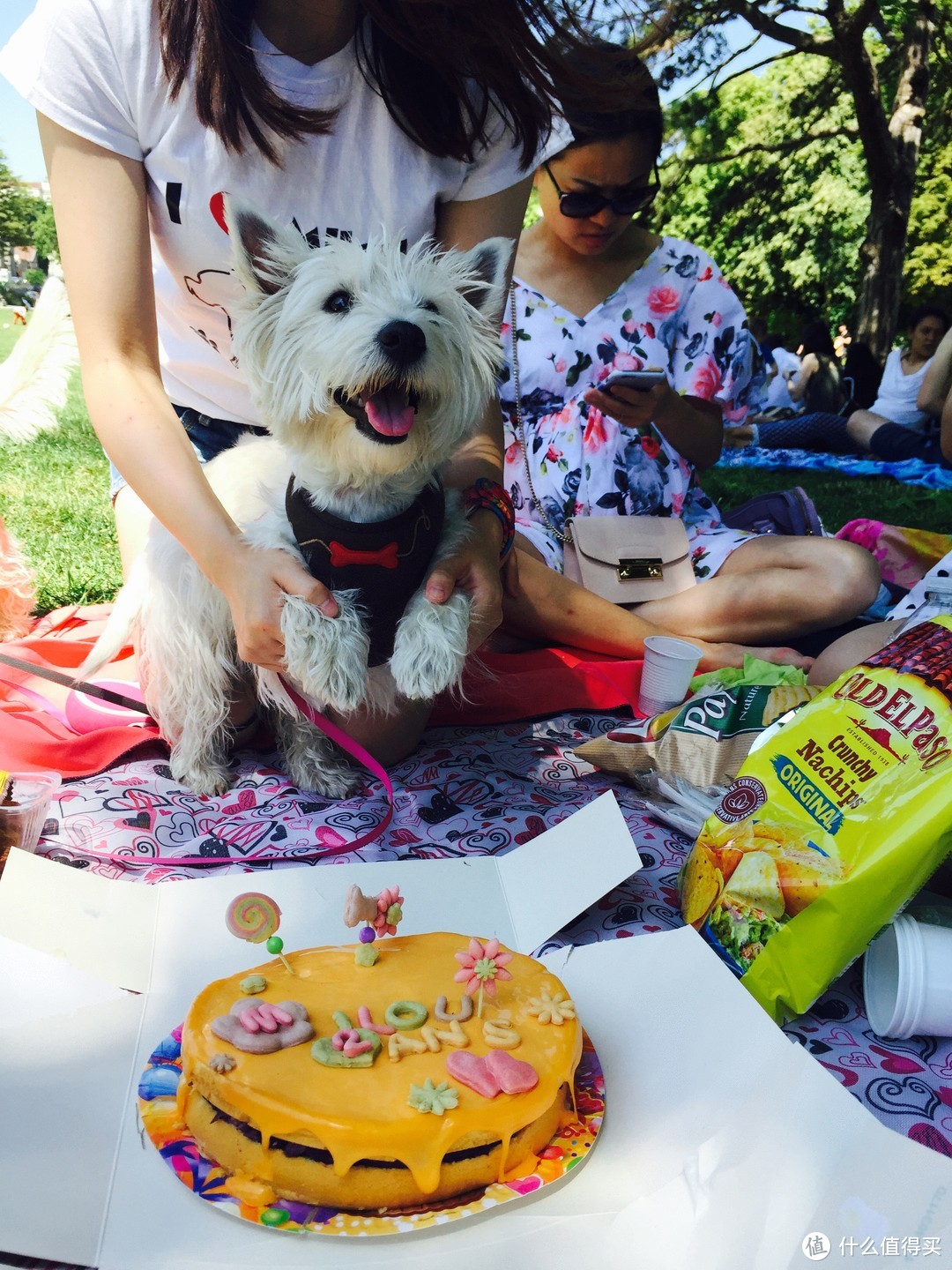 带狗狗去公园野餐 顺便庆祝一下她2岁的生日 双子座宝宝哟！