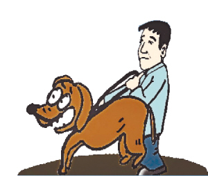 最新北京市养犬管理规定