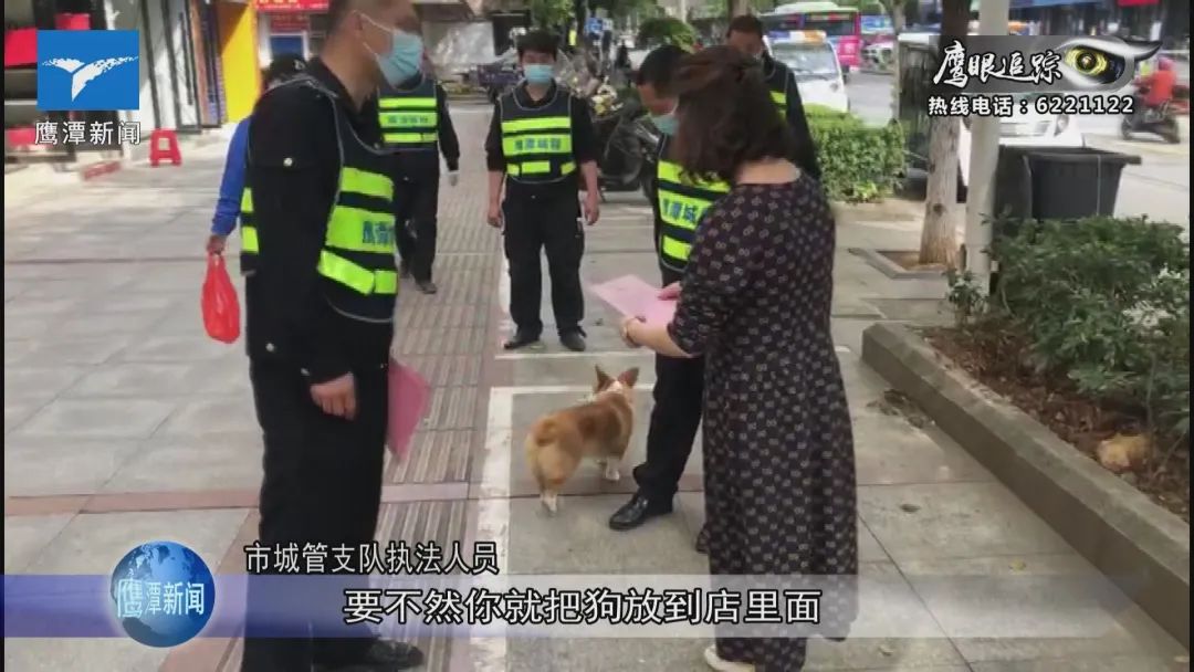 狗扰民归哪个部门管_养一只猫一只狗还是养两只狗_养狗扰民怎么举报