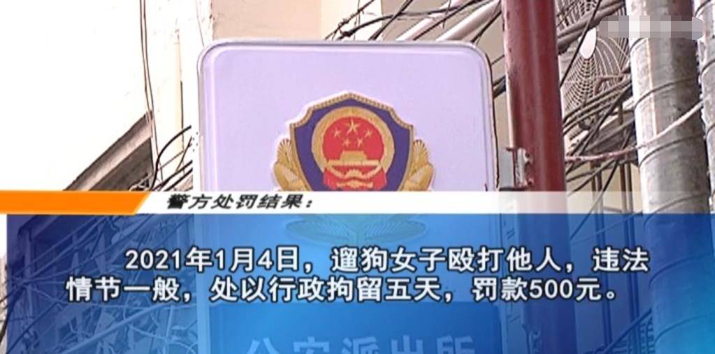 上班养串串狗好不好养_狗扰民哪里可以投诉_养狗扰民怎么举报