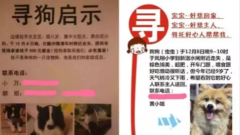 你这样的人，配养狗吗？！