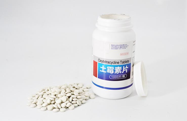 宠物医院不会告诉你，家中常备这些药，狗狗再也不怕生病了