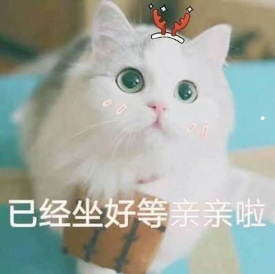 南阳猫狗市场买什么