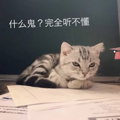 宠物猫狗治疗图片
