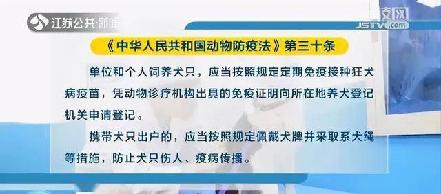 养狗没办证_给狗办狗证需要什么_哪些狗可以办狗证