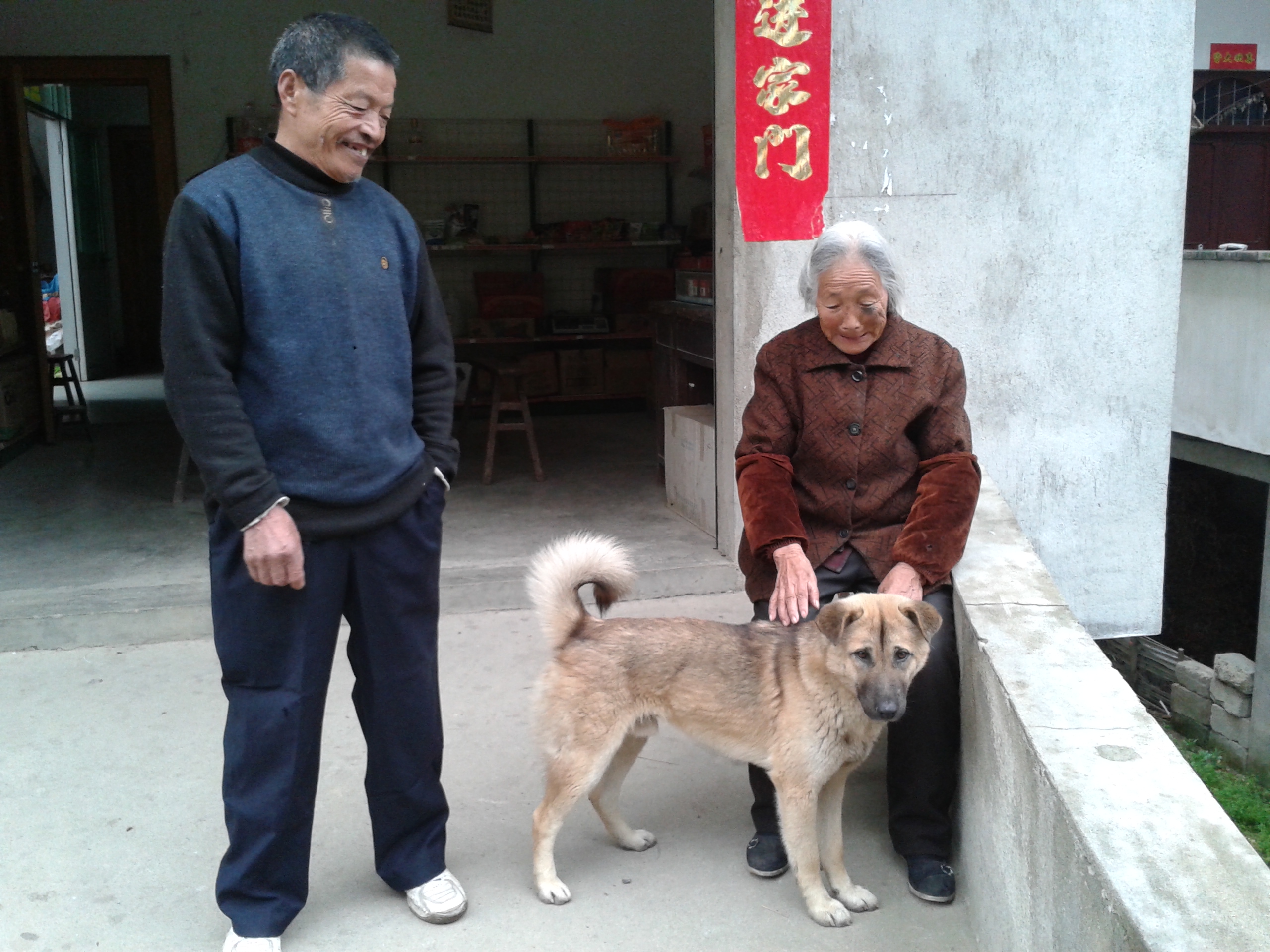 女医明妃传疯狗病_狗疯狗病_间接感染疯狗病