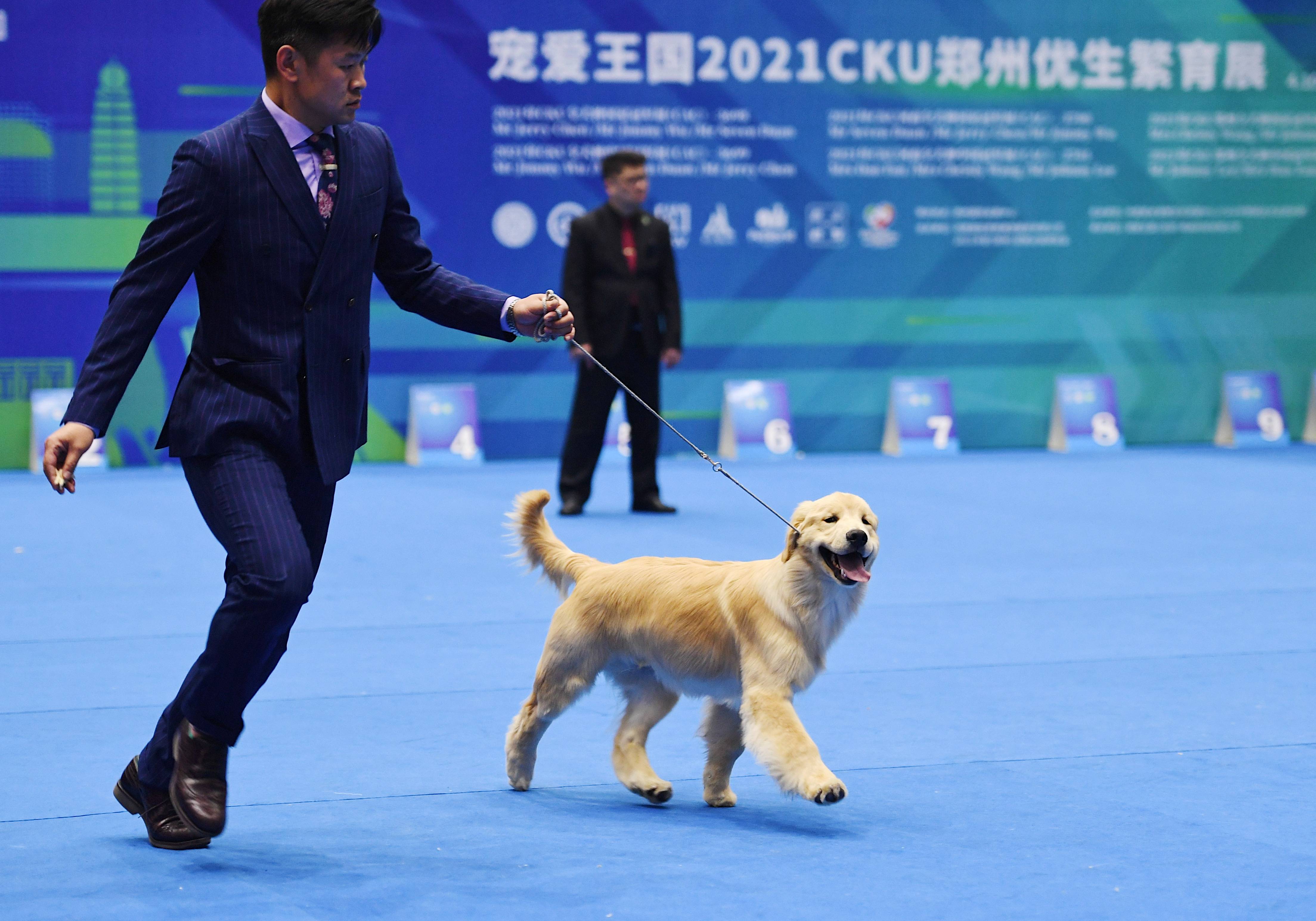 买到病狗可以报警么_买到病狗怎么投诉_买到病狗报警处理