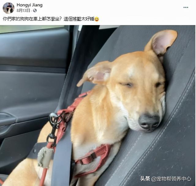协议搅基30天腐书网_狗咬伤私了协议_买狗协议书