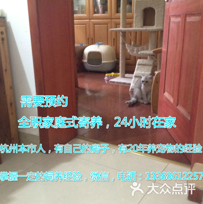 厦门宠物店病狗_在宠物店买到病狗怎么办_苏州沈思港路宠物店卖病狗