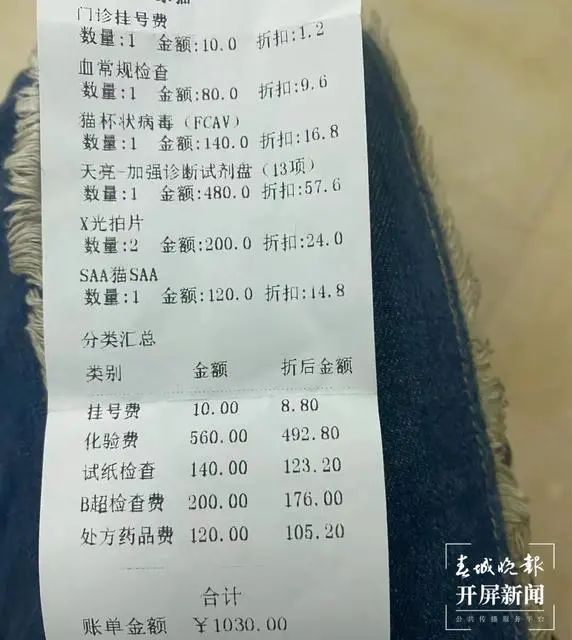 这是蓝猫？玉溪女子收到猫后被卖家拉黑！治疗费花了1200元…