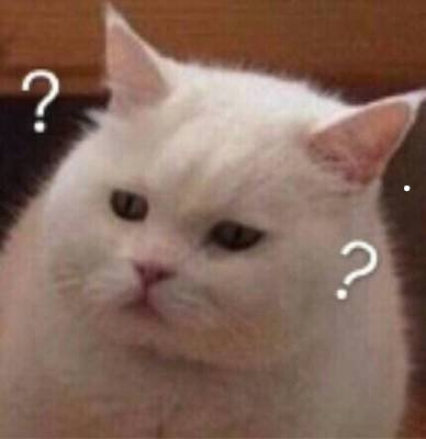 宿舍养猫舍友不让