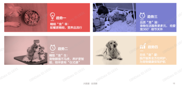宠物店买到犬瘟狗_宠物店买到星期狗怎么办_在宠物店买到病狗怎么维权