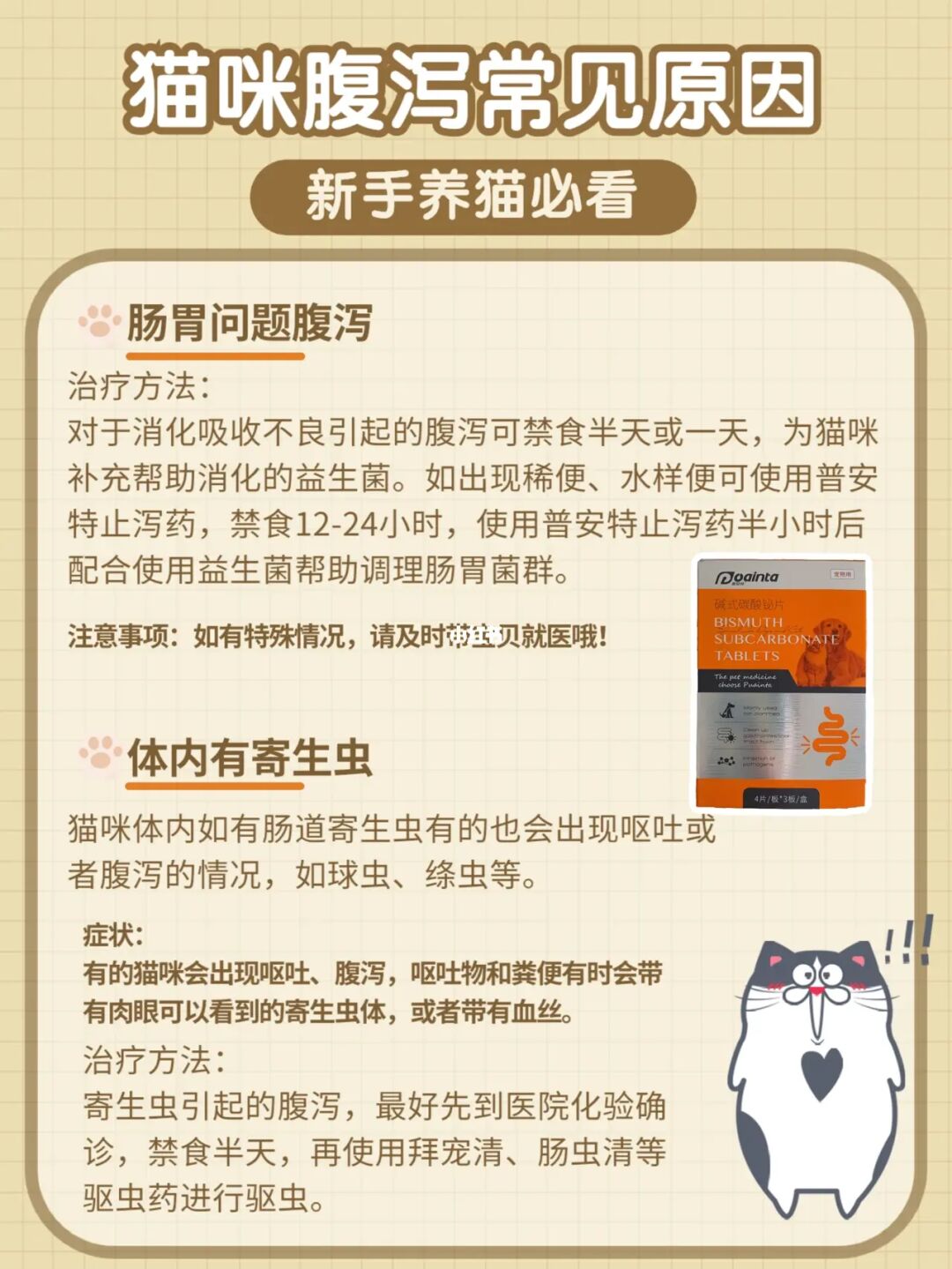 大猫对小猫_小猫死啦会影响大猫吗_黑道称雄+大猫爱小猫+小说