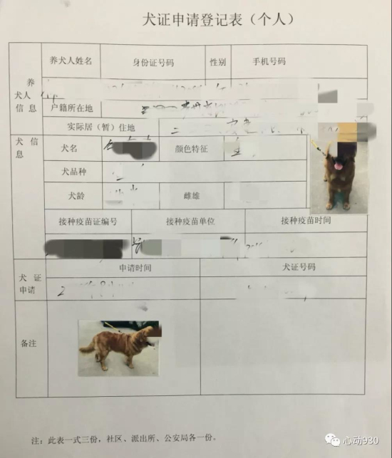 深圳办狗证需要什么资料_北京养狗需要办什么证_办狗证需要植入芯片吗