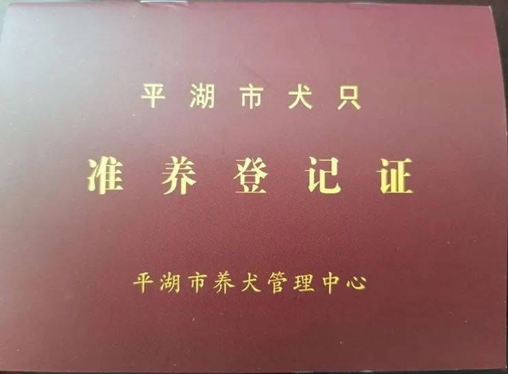 北京养狗需要办什么证_深圳办狗证需要什么资料_办狗证需要植入芯片吗