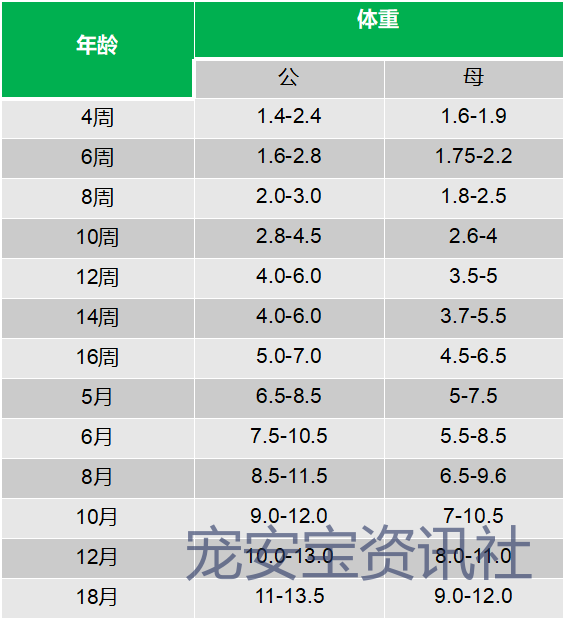 狗体重与月龄对照表图片