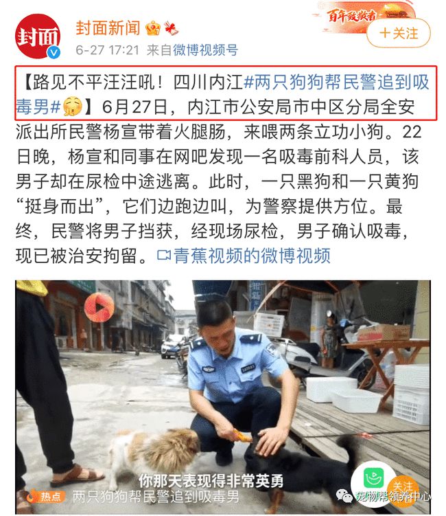 同城买狗用什么软件_有什么软件是同城买东西的_养狗用狗笼还是狗链狗绳