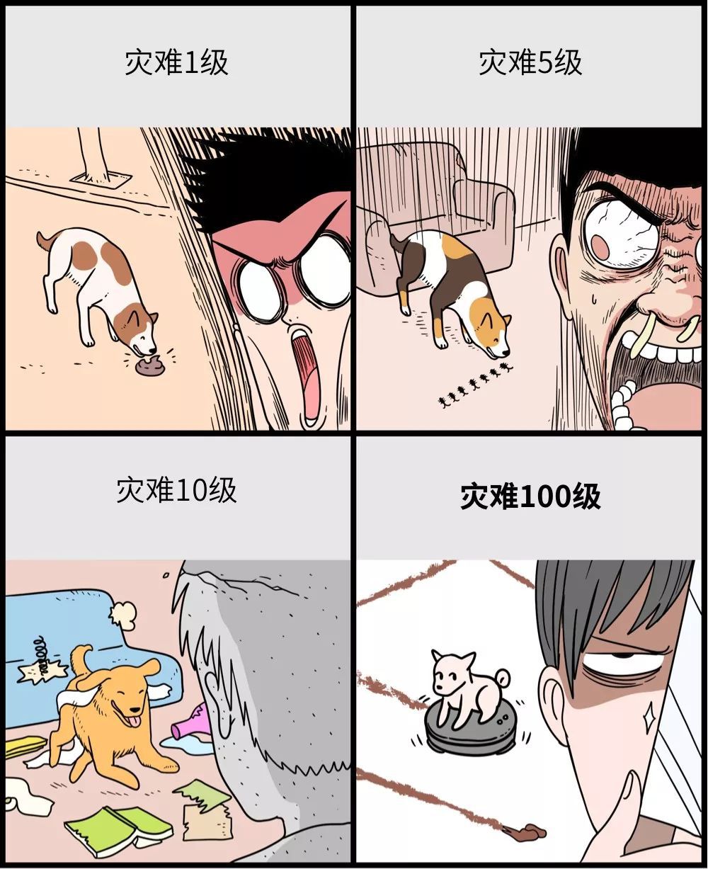 狗猫兽图片_中医治灵异病案例_中兽医治狗猫病看什么书