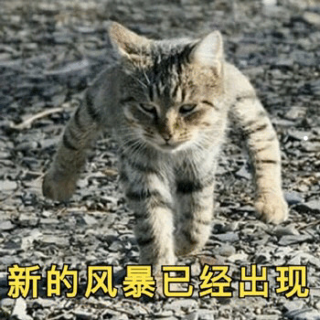 怎么举报邻居家猫一直叫