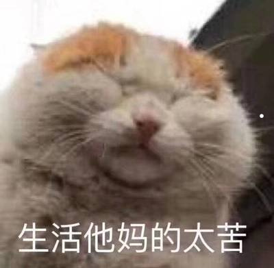 怎么举报邻居家猫一直叫