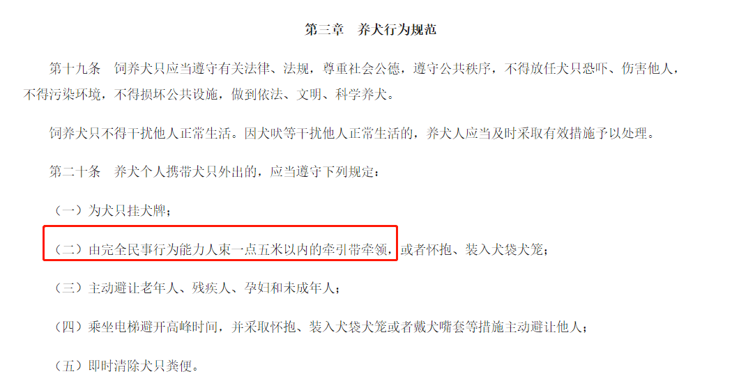 新手养什么狗最好，要聪明的狗_上海市区养狗规定_相狗秘诀什么狗养不得