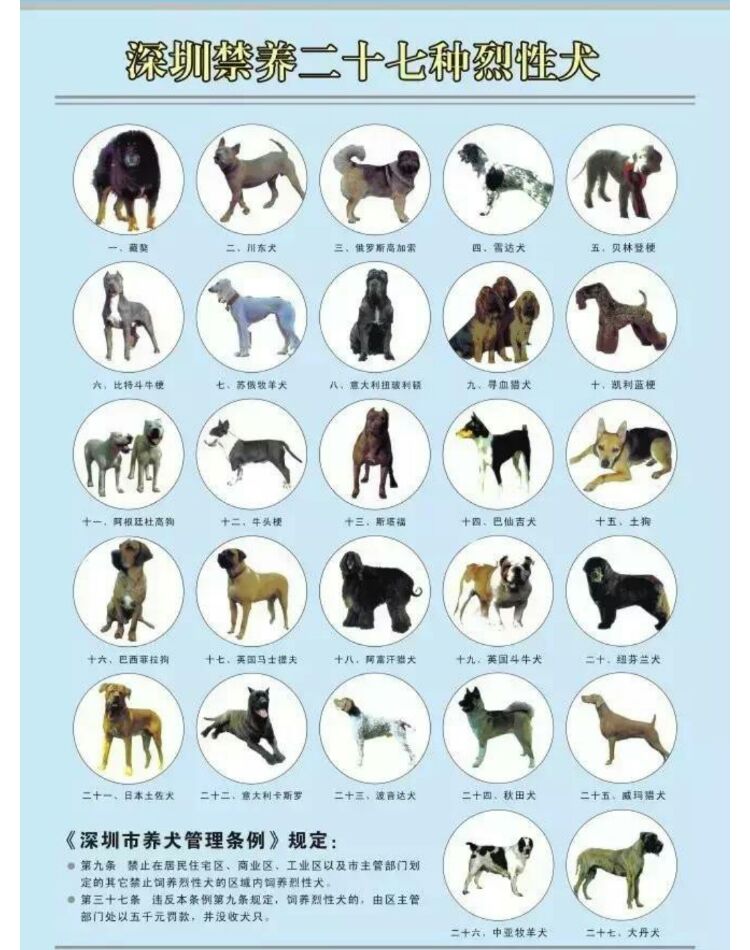 禁养犬种类图片