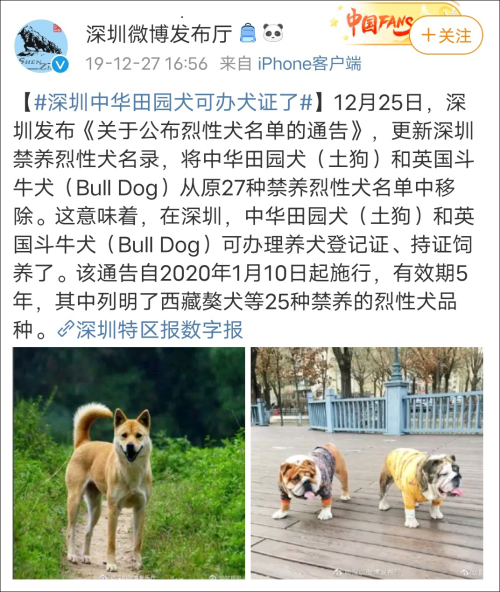 北京怎么给狗办狗证_在城里养狗不办狗证_办狗证不要证便宜