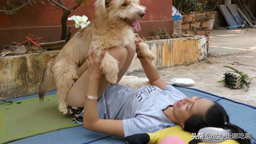 老人说好女不养狗，为啥很多人都养大型公狗？网友：其实另有目的