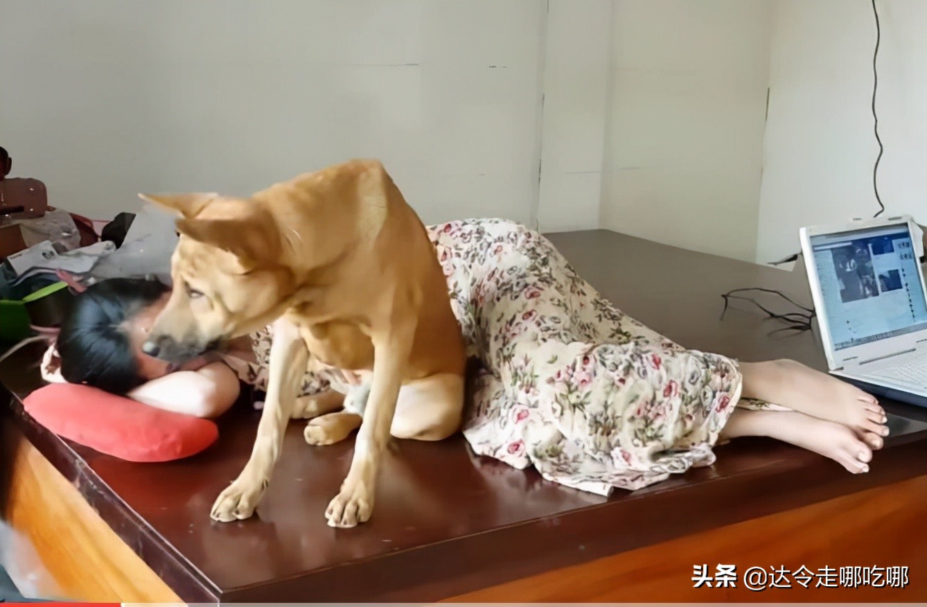老人说好女不养狗，为啥很多人都养大型公狗？网友：其实另有目的