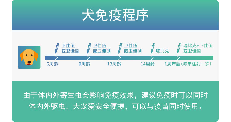 养狗条例_养什么狗最赚钱又好养_上班养串串狗好不好养