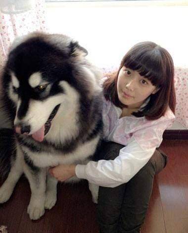 为什么人们不喜欢养狐狸呢_人们为什么喜欢养狗_日本喜欢养哪种狗