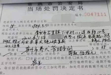 新手养什么狗最好,要聪明的狗_养狗条例_相狗秘诀什么狗养不得