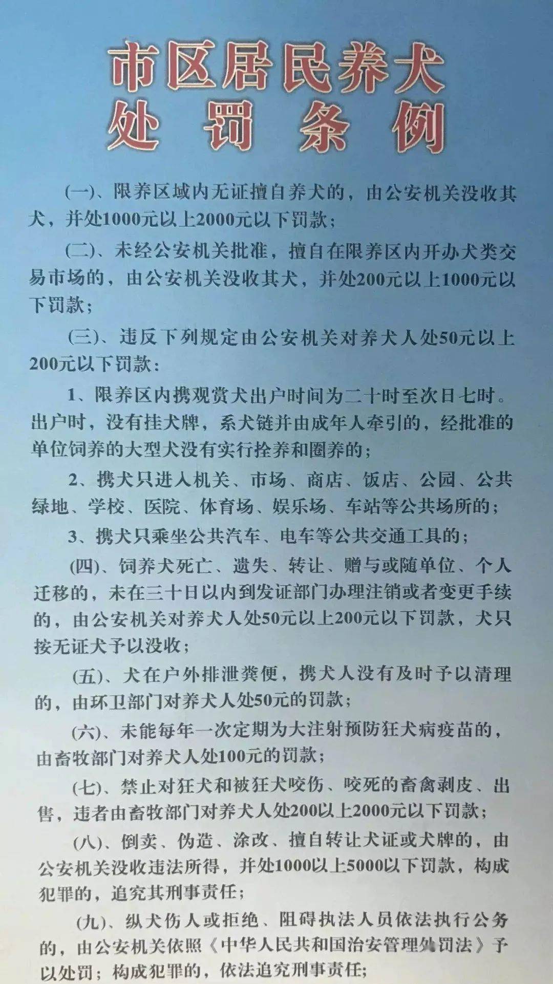 相狗秘诀什么狗养不得_养狗条例_新手养什么狗最好,要聪明的狗