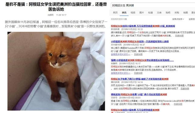 豹属和猫属_细腰猫属_笑猫日记属猫的人摘抄