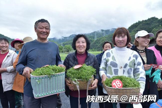 致富经广东养泥鳅视频_大棚养黄鳝技术视频_致富经大棚养狗视频