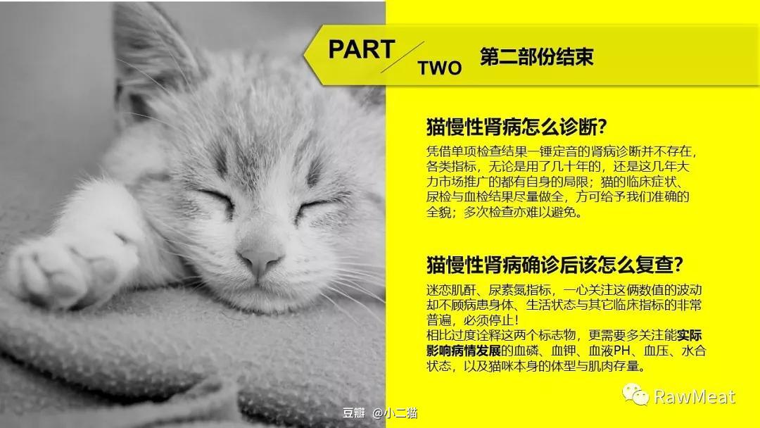 猫鼠狗 中作者仇猫的原因_中医治不孕哪看得好_中兽医治狗猫病看什么书