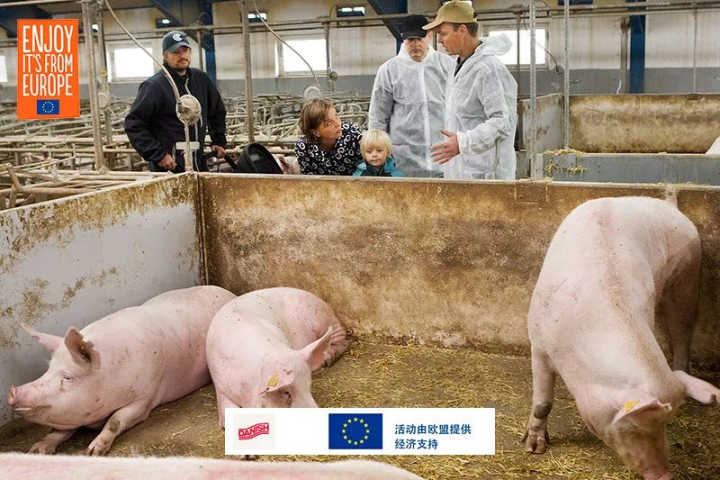 飞猪有电话人工客服吗?_飞猪旅行阿里旅行飞猪_有会飞的猪吗