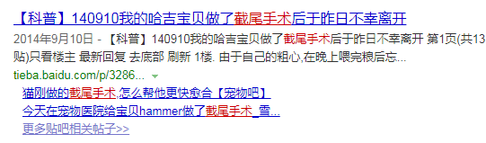 耳朵下垂的狗品种图片_长耳朵狗狗的品种图片_小型黑毛犬耳朵竖着品种图片