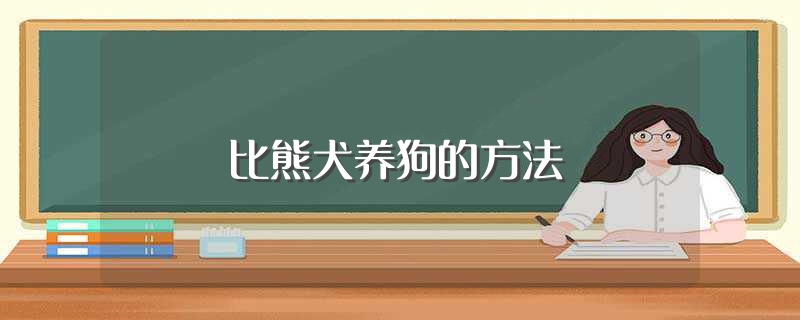 比熊犬养狗的方法（8个方法养比熊犬）